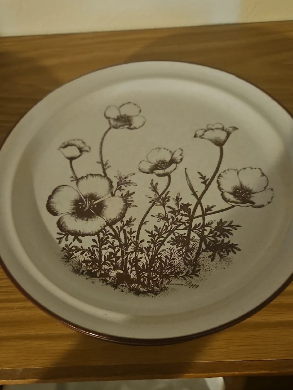 Noritake Stoneware Desert Flowers . 6 Desert Plates. 4 Dinner Plates. 10 Bowls